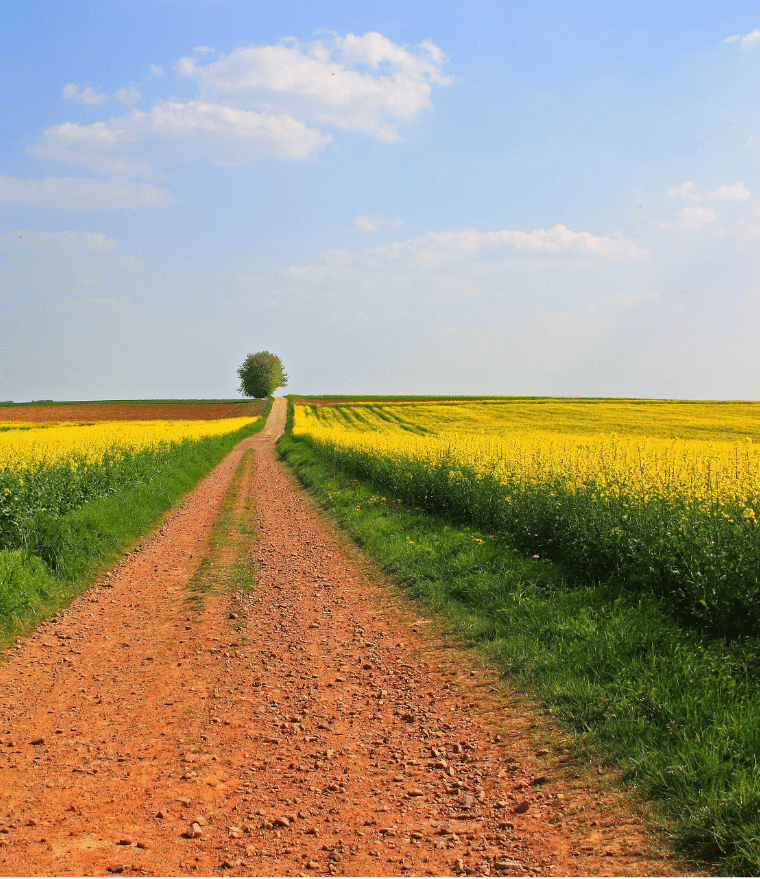 Pourquoi « une planification écologique » ?